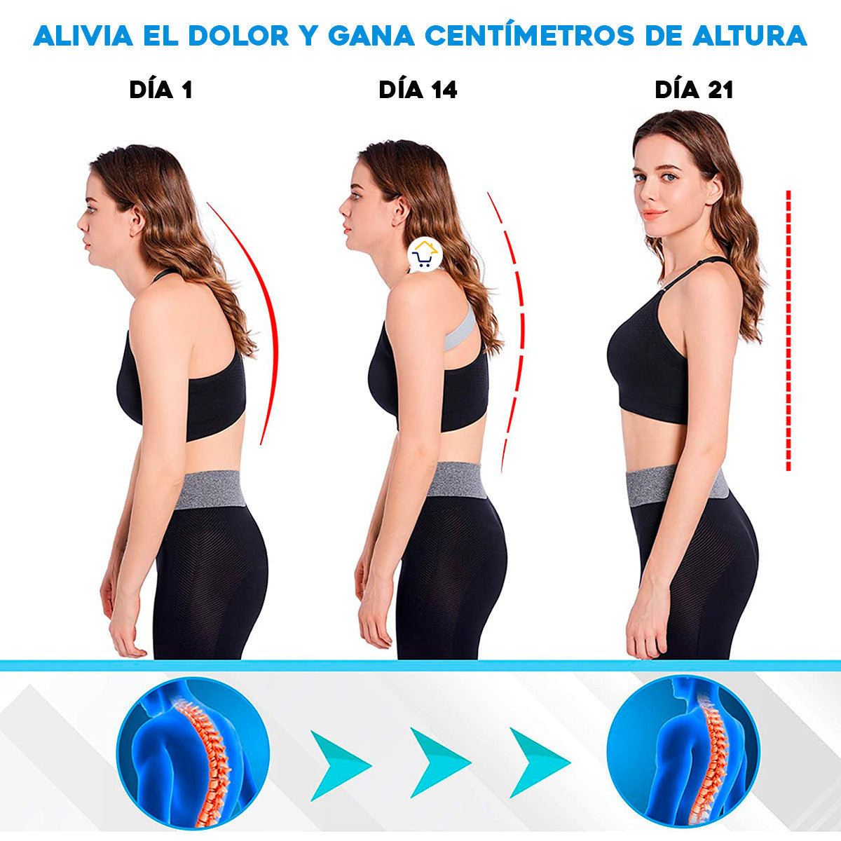 Corrector Postura Inteligente NY68