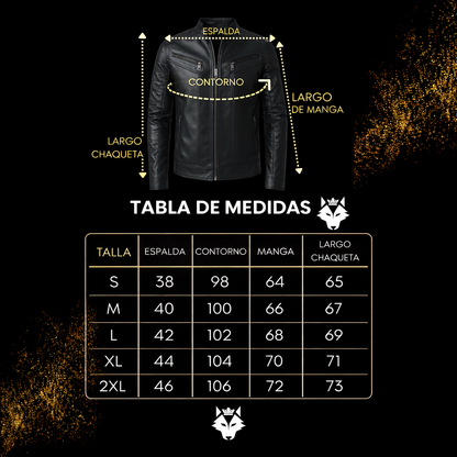 Chaqueta Jack Premium Hombre