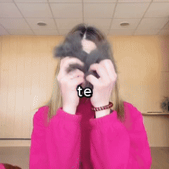 Cepillo removedor de pelos de mascotas